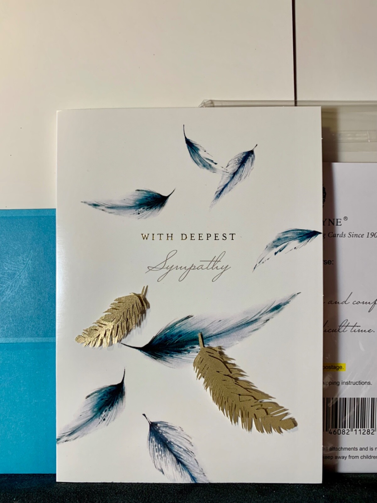 Condolences Sympathy Card Feathers by Designer Burgoyne