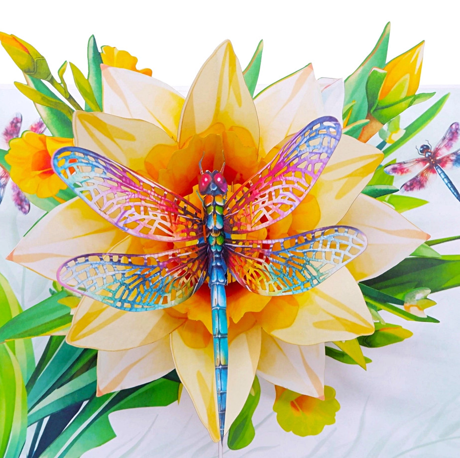 Happy Birthday Pop Up Cards, Dragonfly, Water Lily, Envelope, Elegant 3D