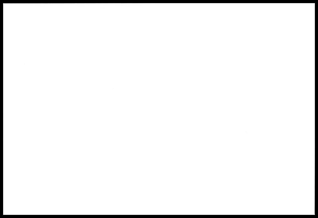 Notecard – Squirrel – Any Occasion – Blank Inside – 3 1/2″ x 5″ – CL134G