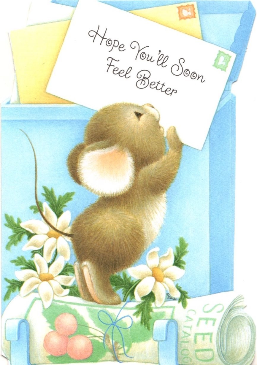 Get Well Soon Wishes Brown Mouse Mailbox Artist Sifers Hallmark Greeting Card