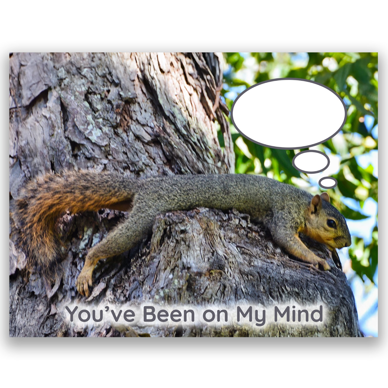 You’ve Been on My Mind Squirrel Thinking of You Greeting Card