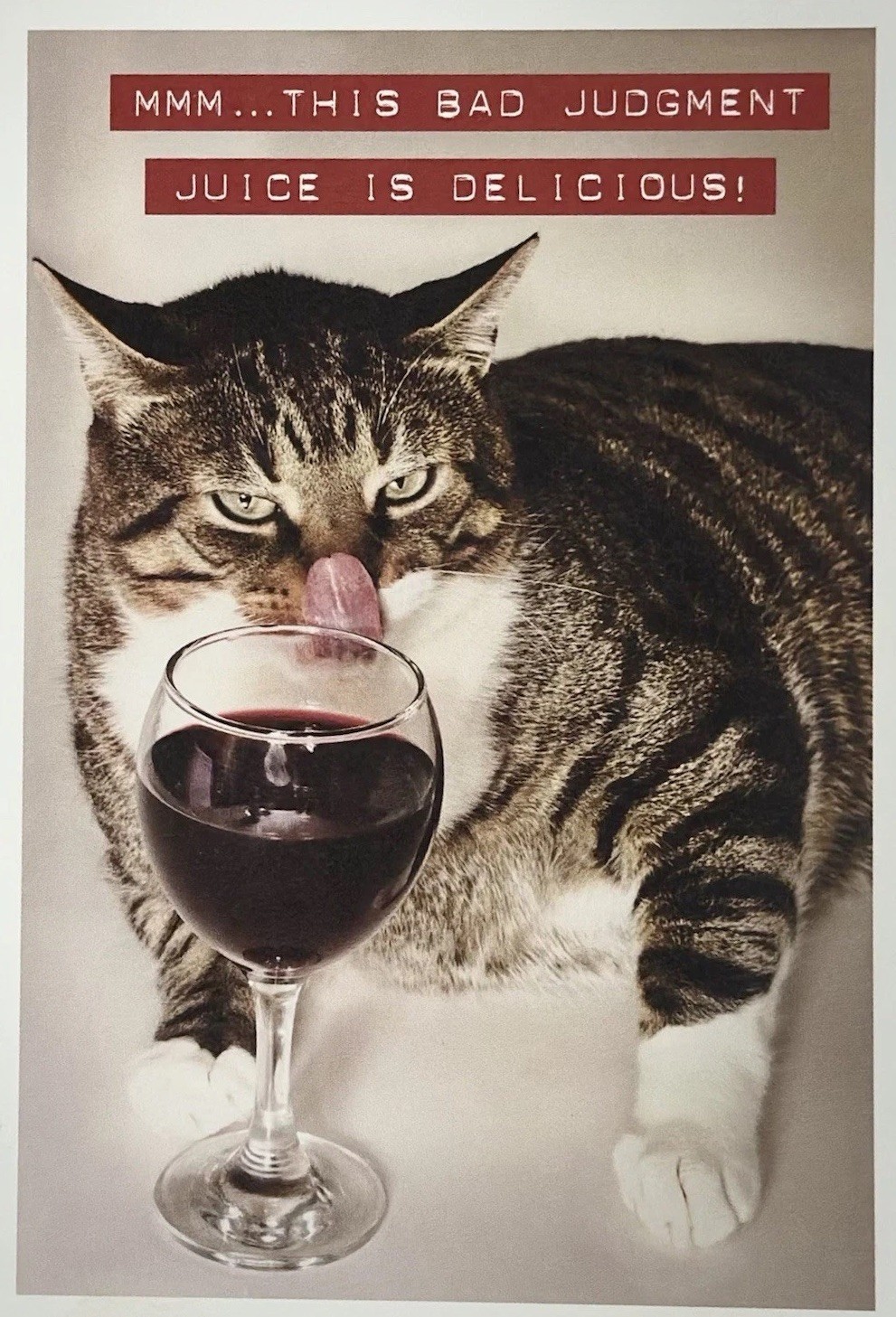 ** HAPPY BIRTHDAY GREETING CARD** ADULT HUMOR / WINE/ FUN / CAT / NEW