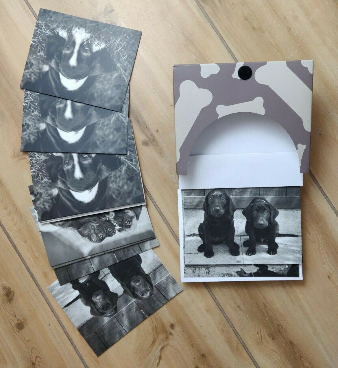 What Puppies Do Notecards Boxed Set Black White Dog Stationary Greeting Cards