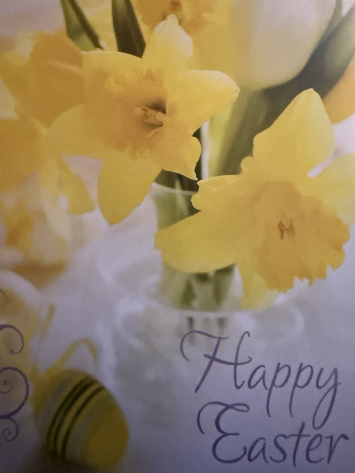 “Happy Easter.” – Yellow Daffodils (5″ X 7″)