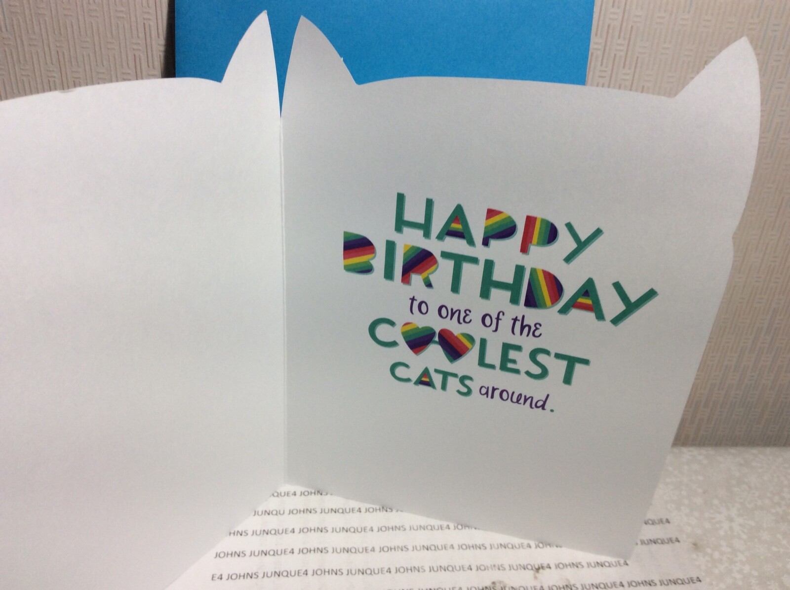 HAPPY BIRTHDAY CHILDREN’S CARD RSVP New w/Envelope “One of the Coolest Cats….”