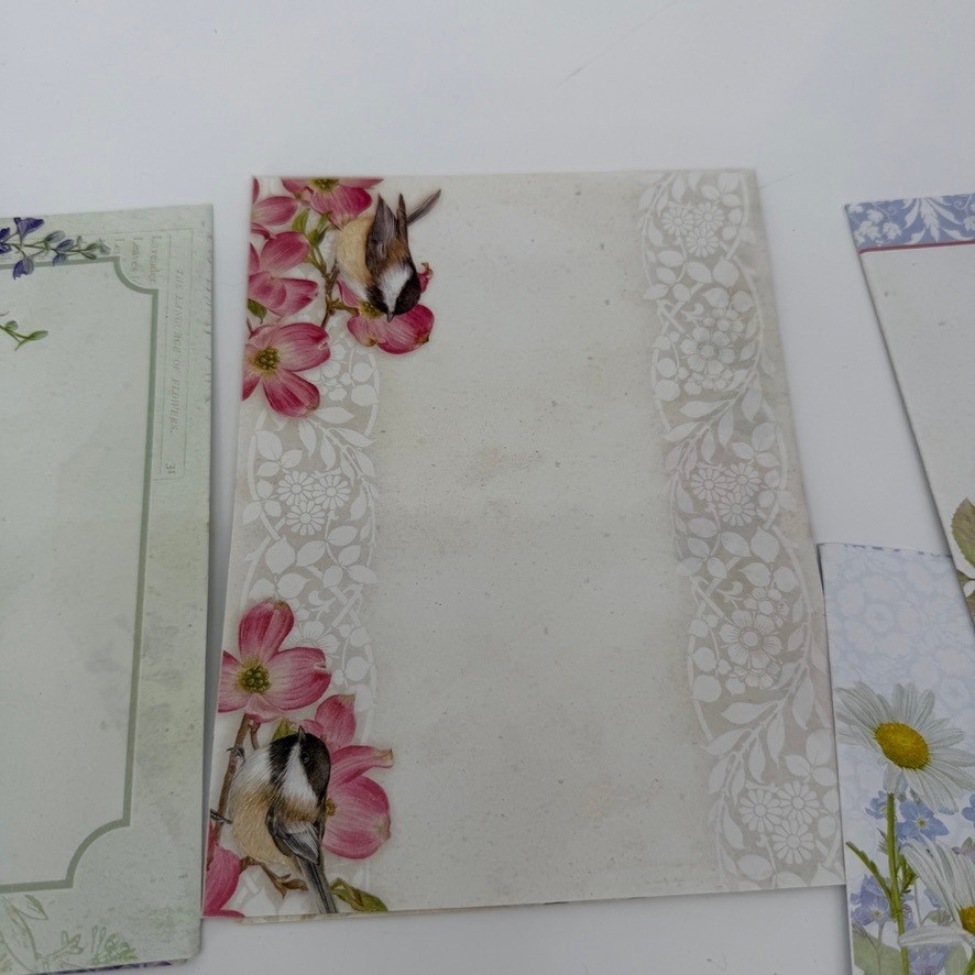 Jane Shasky Floral Greeting Cards LOT of 5 Botanical Butterfly Designs Whimsical