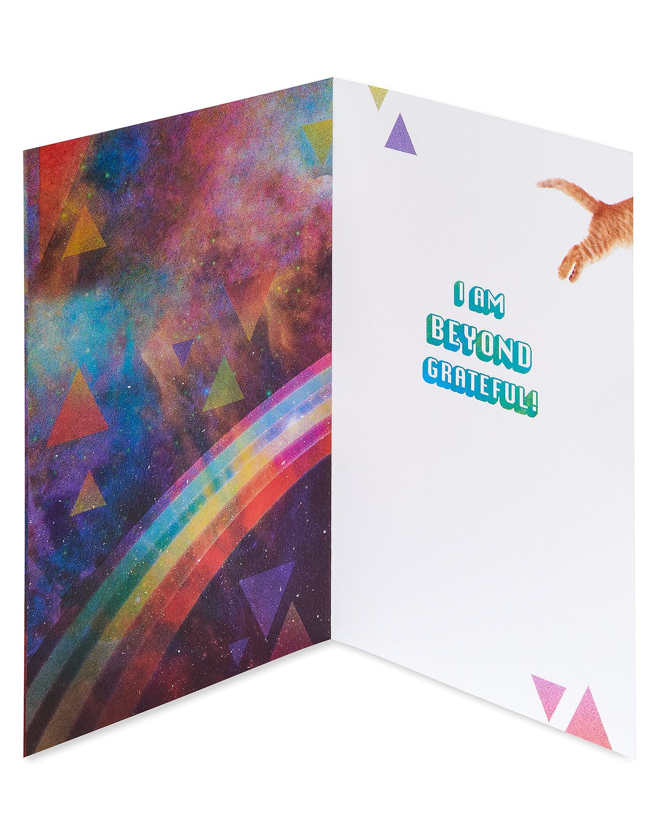 Cat Thank You Card – Perfect for Expressing Gratitude and Appreciation