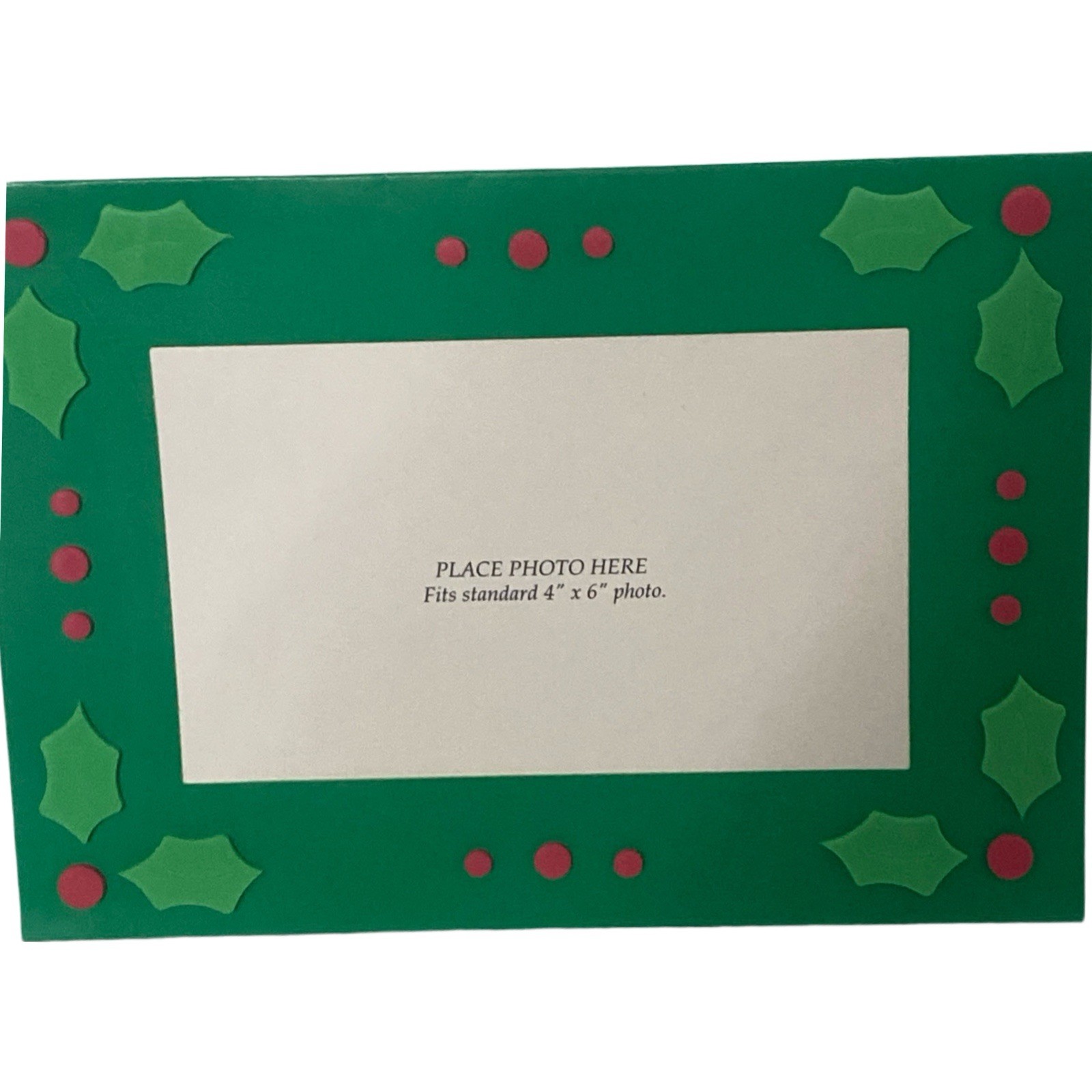 Paper Magic Poinsettia Christmas Holiday Photo Greeting 10 Cards Envelope