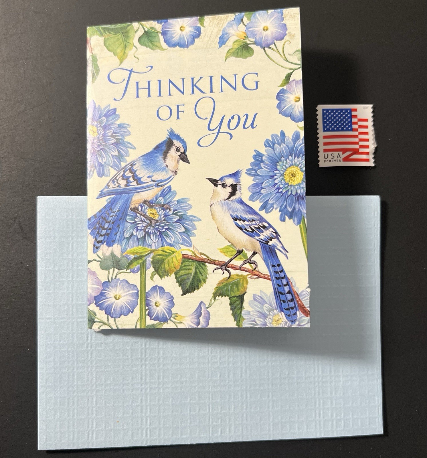 Thinking Of You Notecard Blue Jays Floral Blue Env/Stamp BN Blank doily Inside