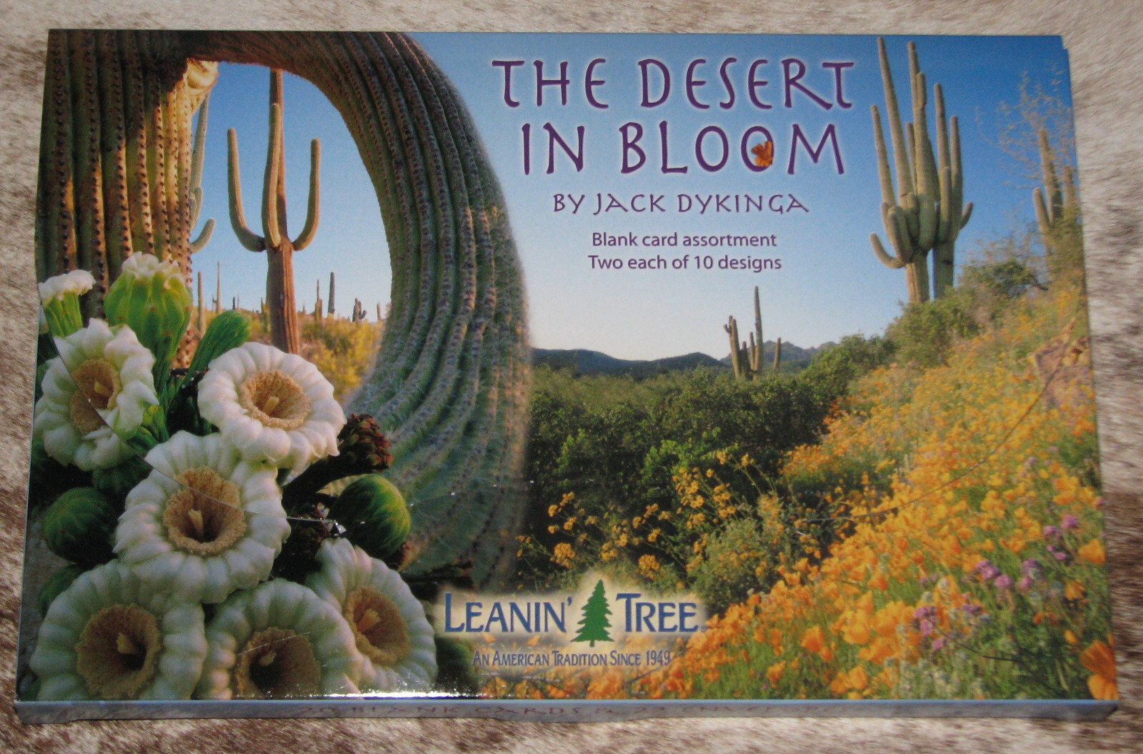 LEANIN TREE Desert in Bloom CARD ASSORTMENT #90656~10 Designs 2 Ea~Blank Inside~
