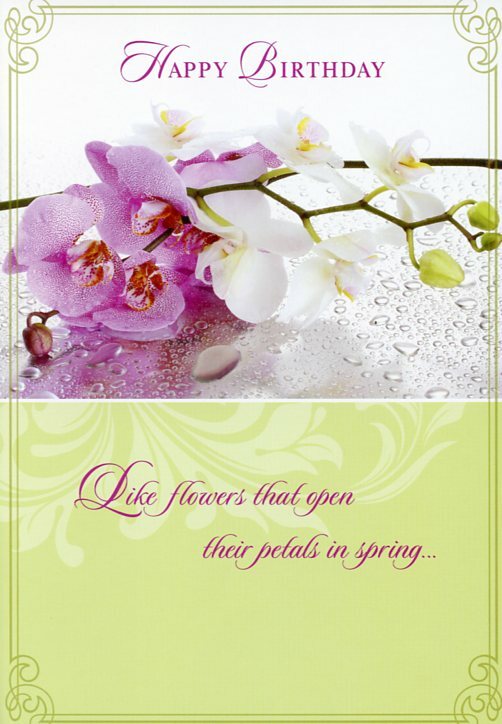 Happy Birthday – General Birthday Greeting Card – 01238-1