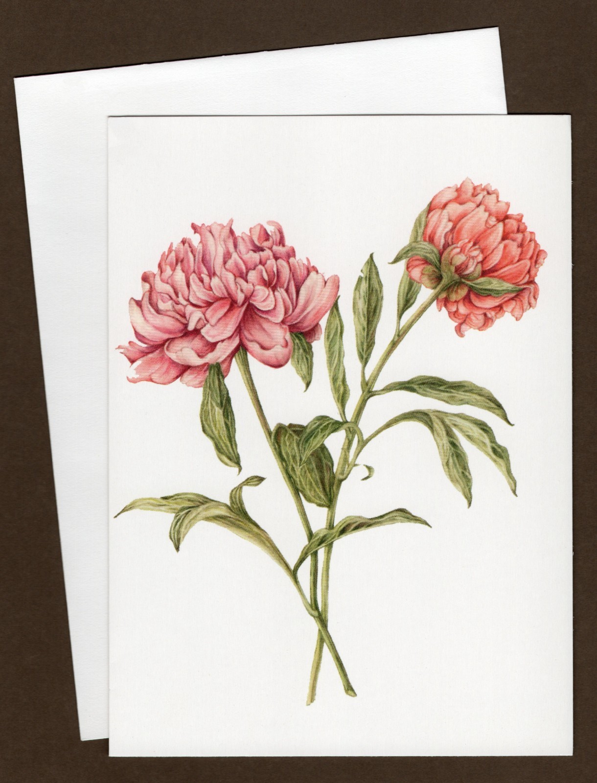 Peonies Colonial Williamsburg Greeting Card, Blank Inside, Floral/Flowers