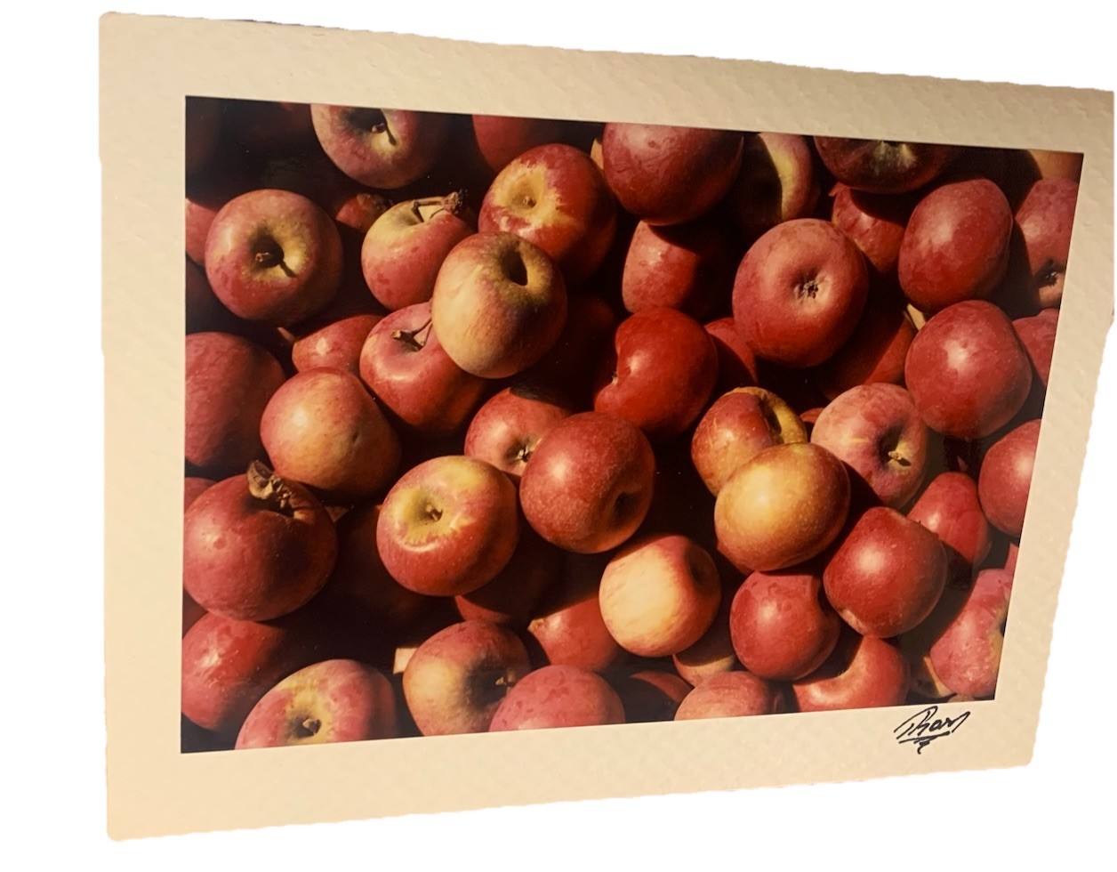 Blank Greeting Card With Photo Handmade By Thom Signed Beautiful Apple 7×5’