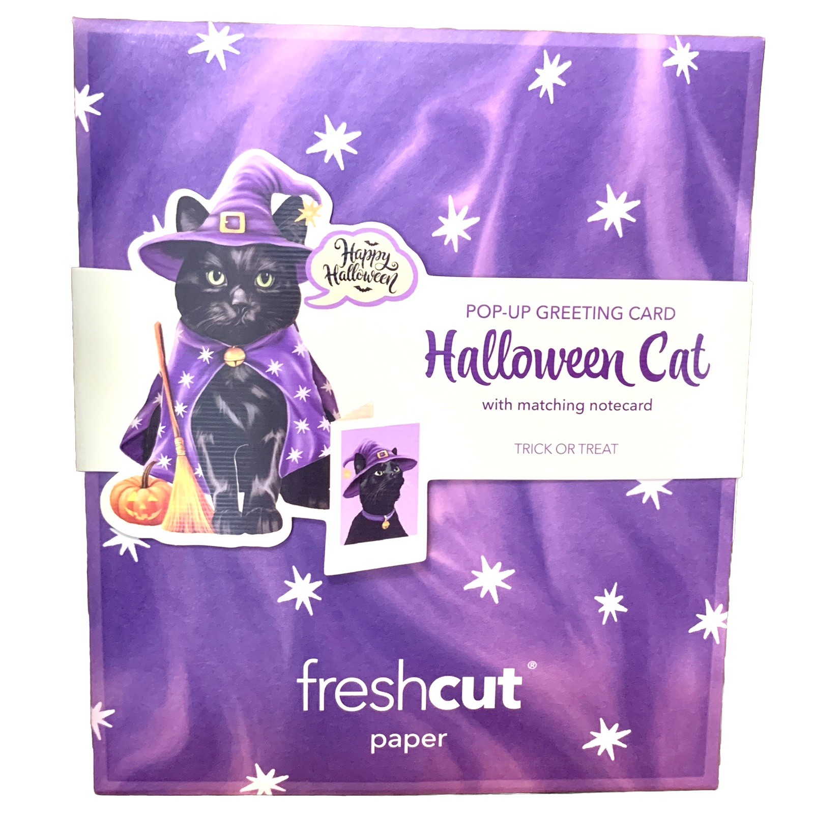 Pop up Greeting Cards 3D Halloween Black Cat In Witch Costume Popup Holiday Gift