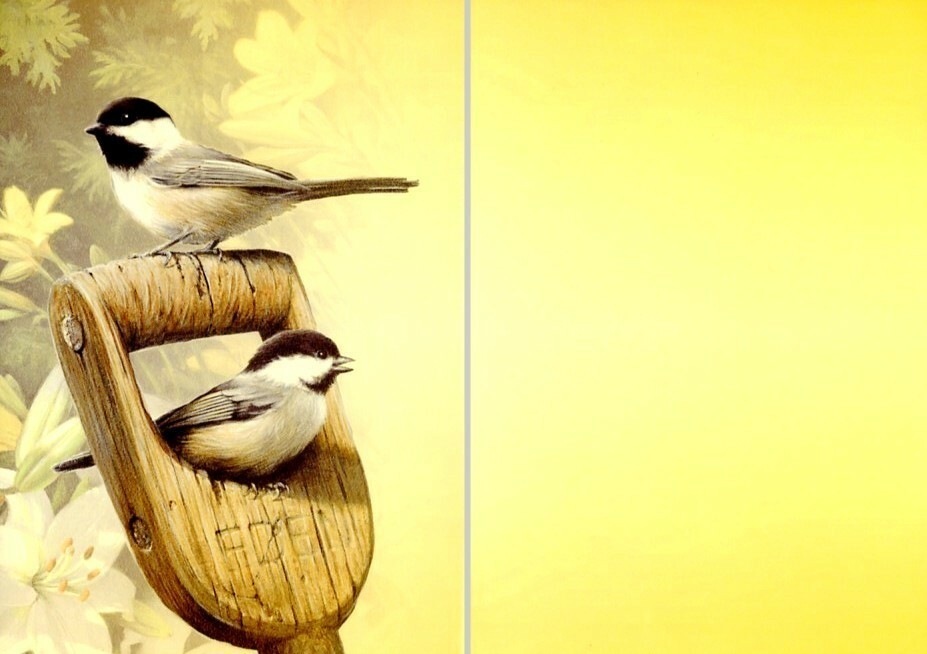 Eden – Birds – Tree Free Greeting Card – 12543