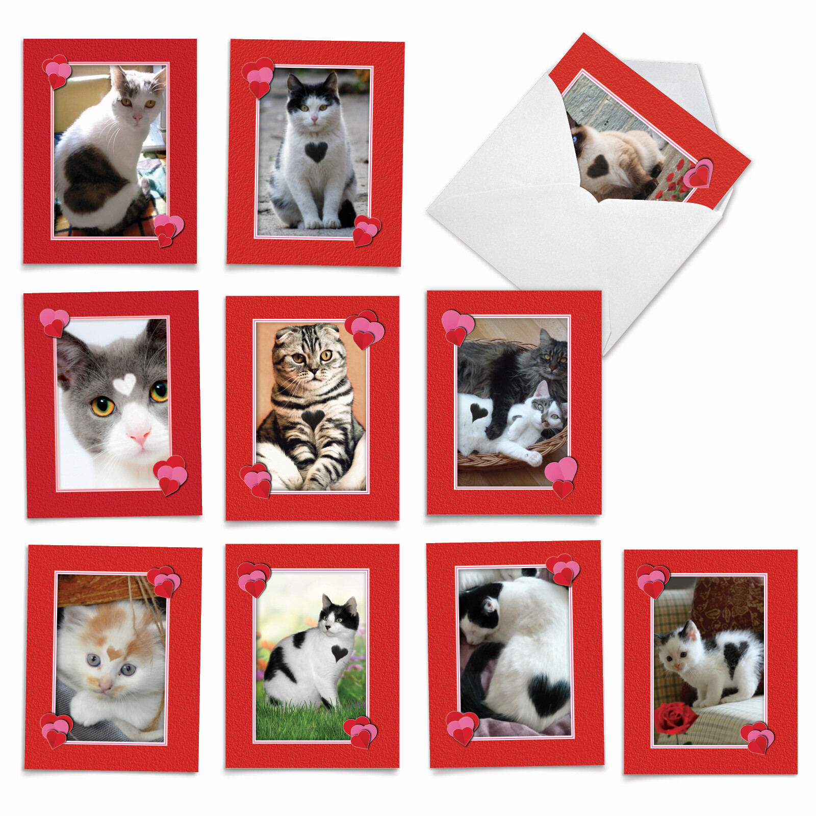 10 All Occasion Blank Note Cards – Heartfelt Cats M5658OCB-B1x10