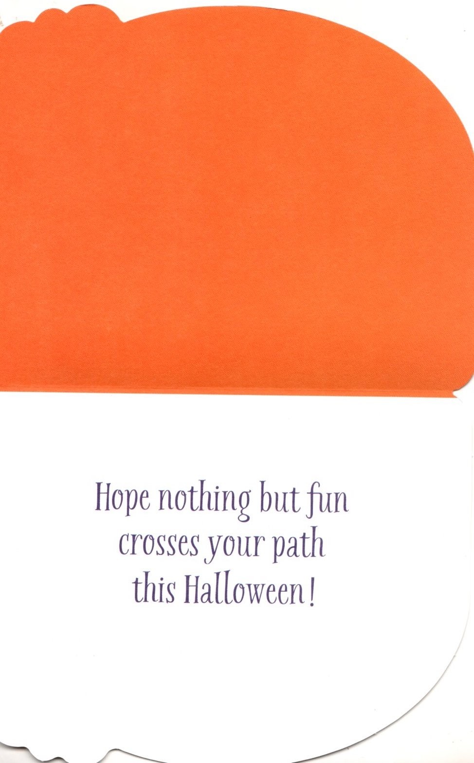 Happy Halloween Black Cat Witch Bat Bats Die Cut Greeting Card – Set of 5
