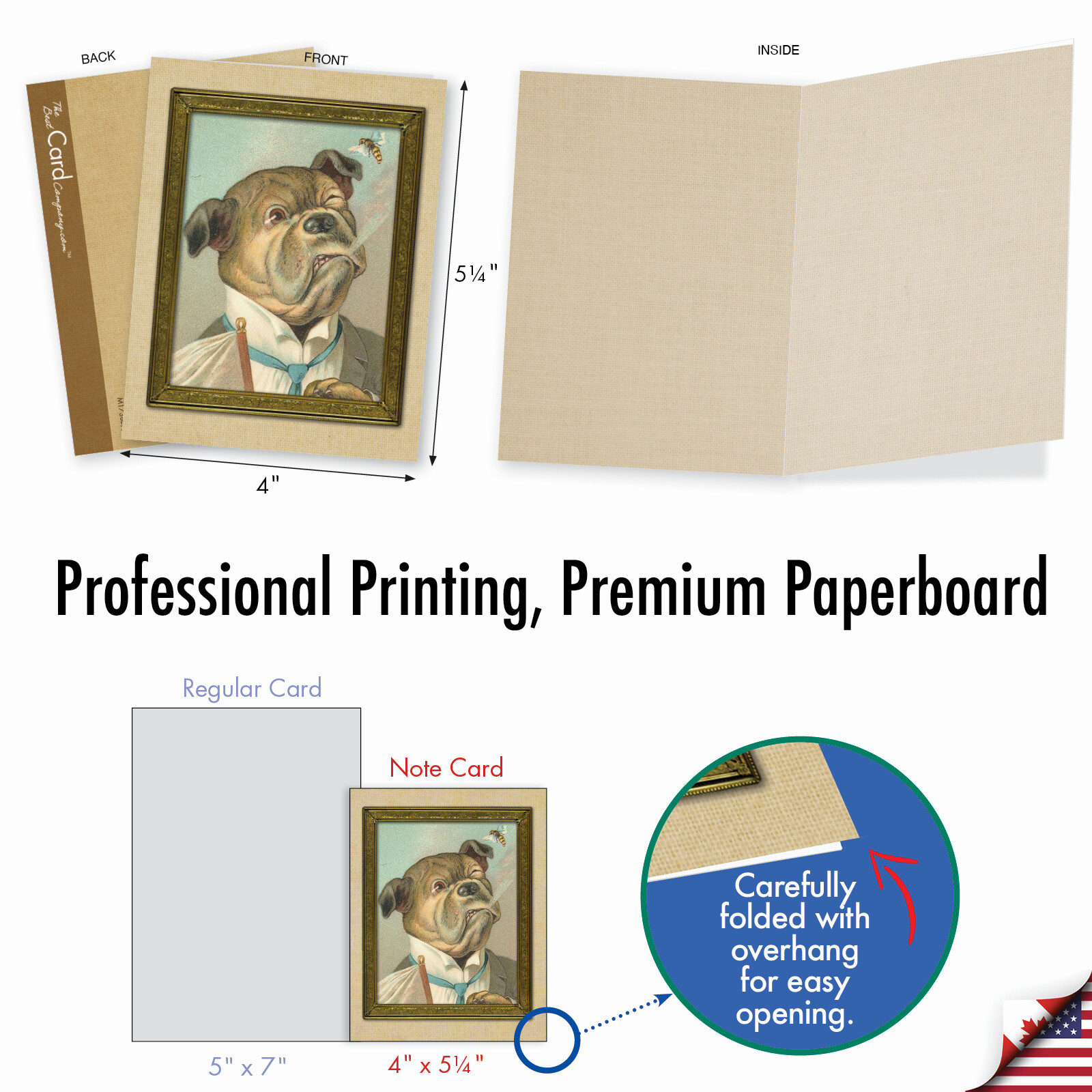 10 Assorted All Occasion Blank Note Cards with Envelopes – PUP PORTRAITS M1738BN