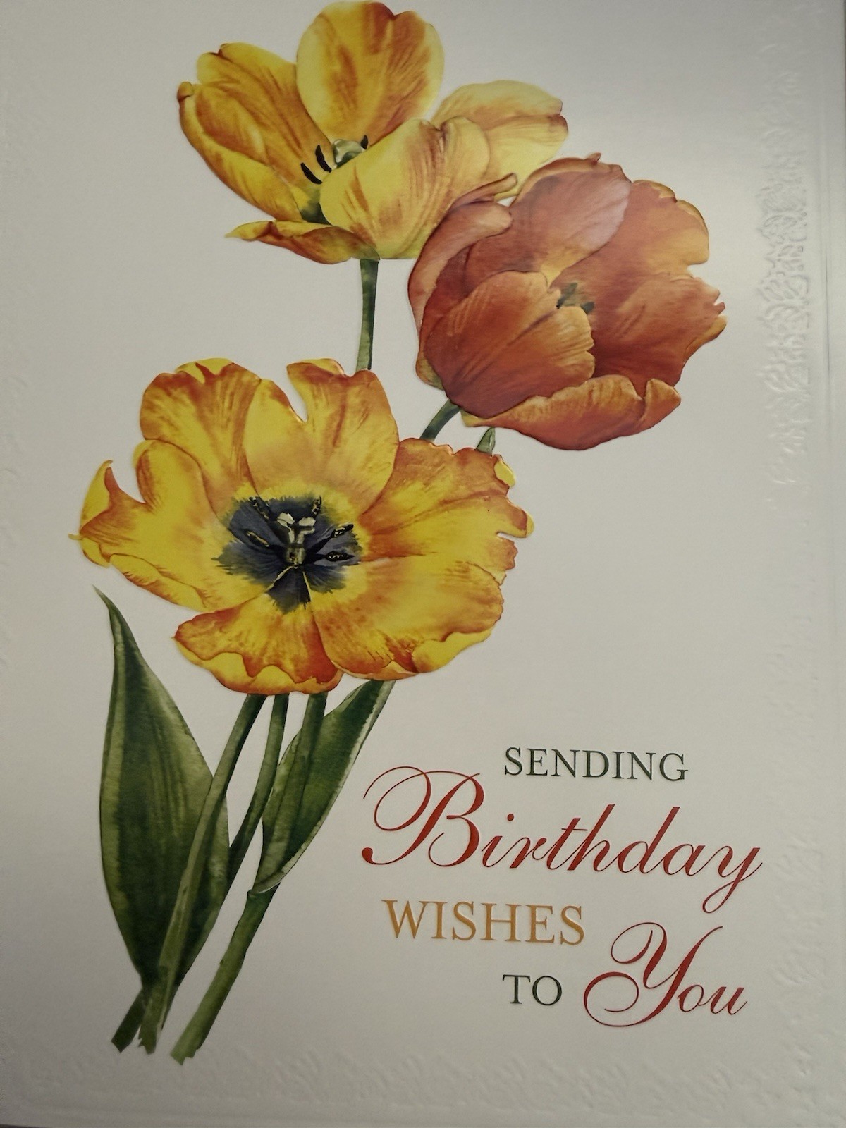 “Sending Birthday Wishes To You” -Colorful Tulips – 5.5″ X 7.5″