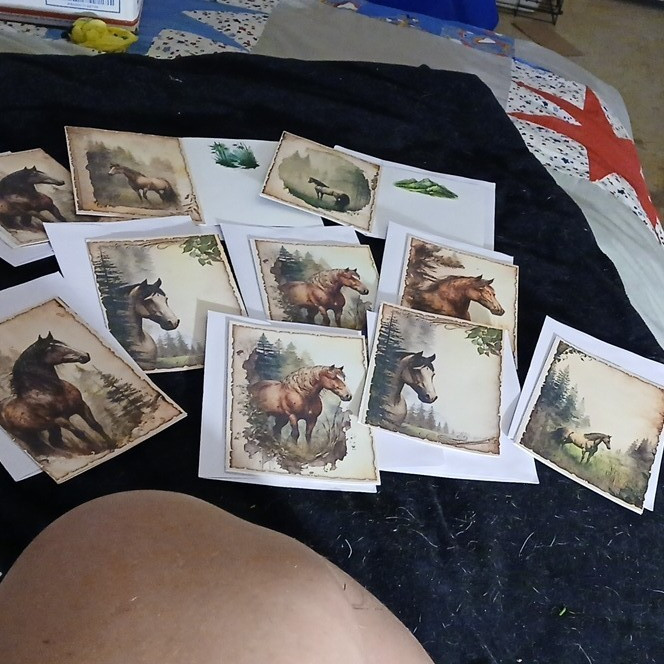 Assorted Animal Folded Greeting Cards w/ Envelopes, Multicolor, All Occasions
