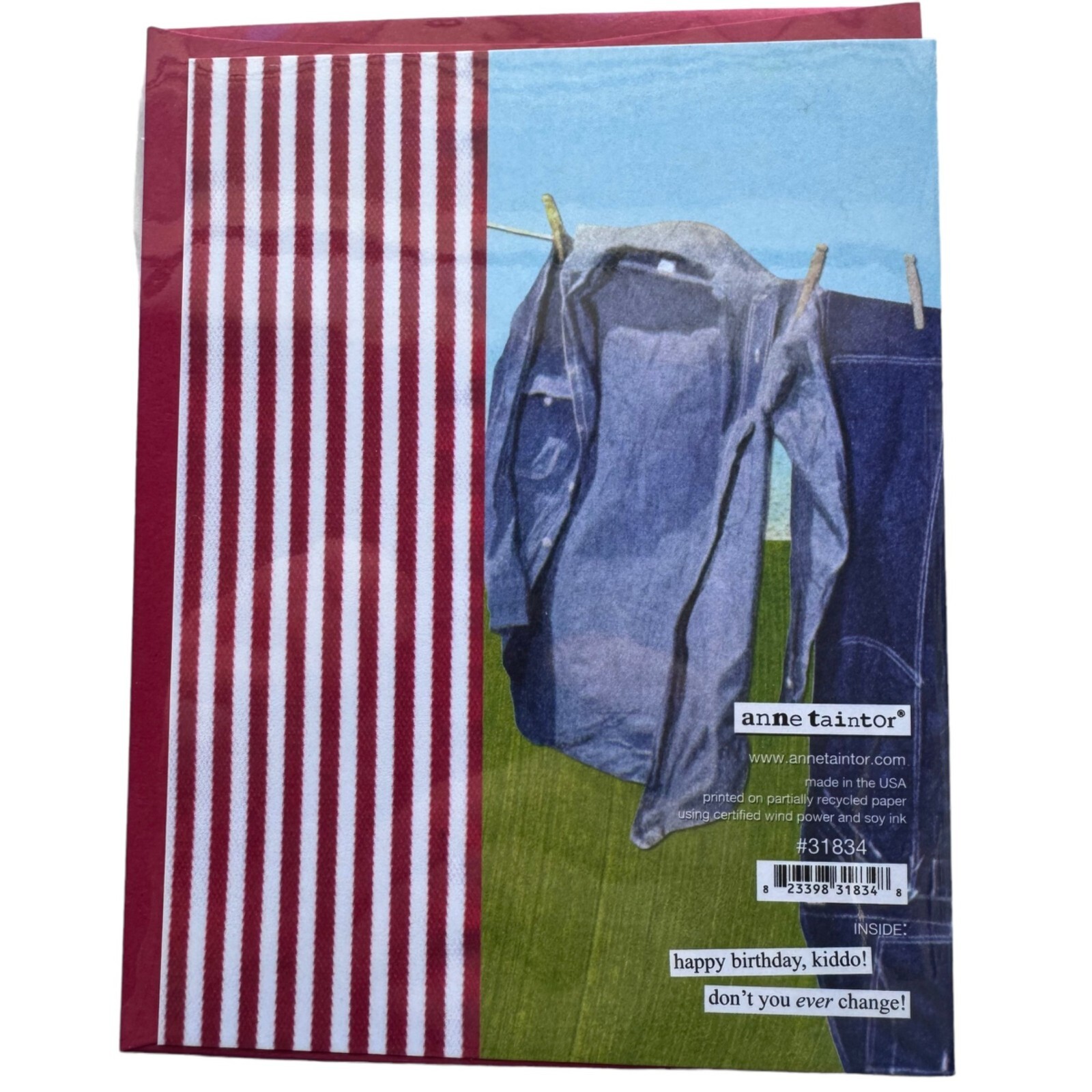 Anne Taintor All Occasion Happy Birthday Retro Greeting Card Clothesline 31834
