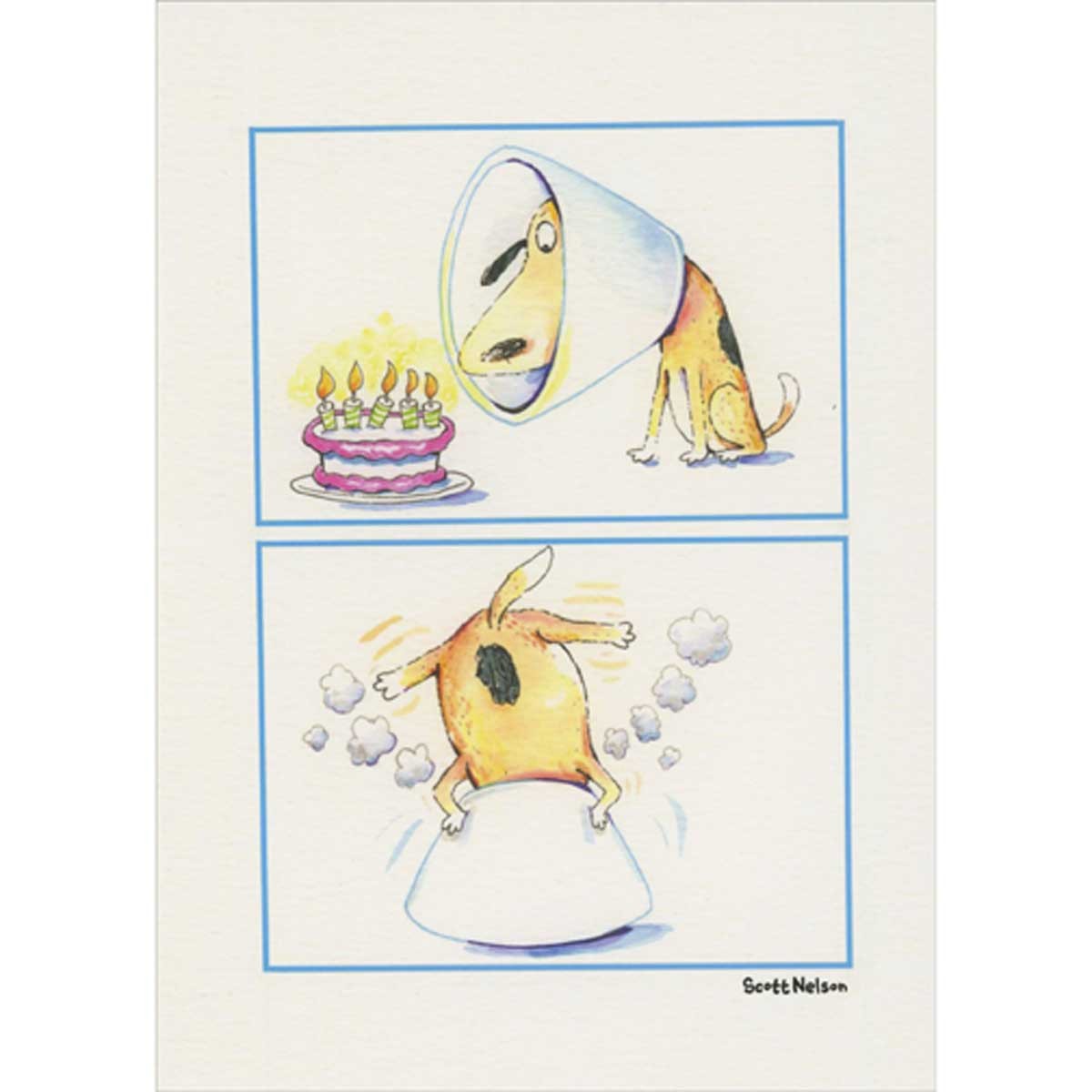 Oatmeal Studios Dog in Recovery Cone Eats Cake Funny Birthday Card