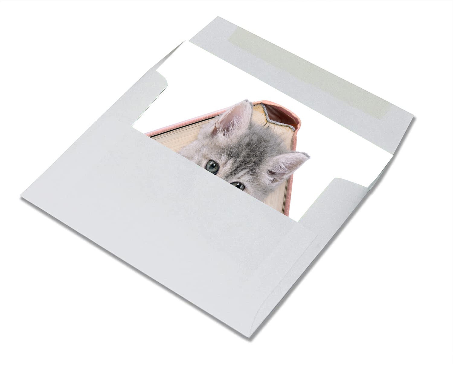 Playful Kitten Greeting Cards-Blank Inside with Envelopes-5.5″x4.25″-12 Pack