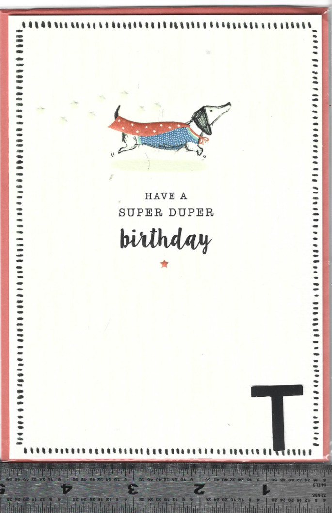 (V) – 1 PREMIUM blank inside Embellished with Envelope