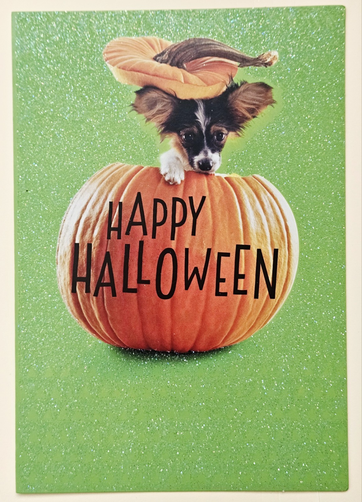 Happy Halloween / Greeting Card (incl. Envelope 7×5″)