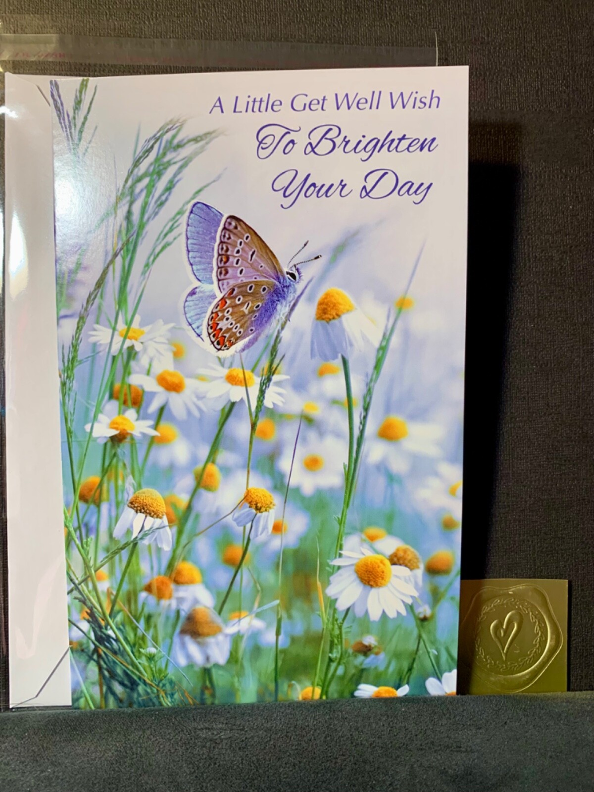 Get Well Soon Greeting Card To Brighten Your Day Butterfly and Daisies