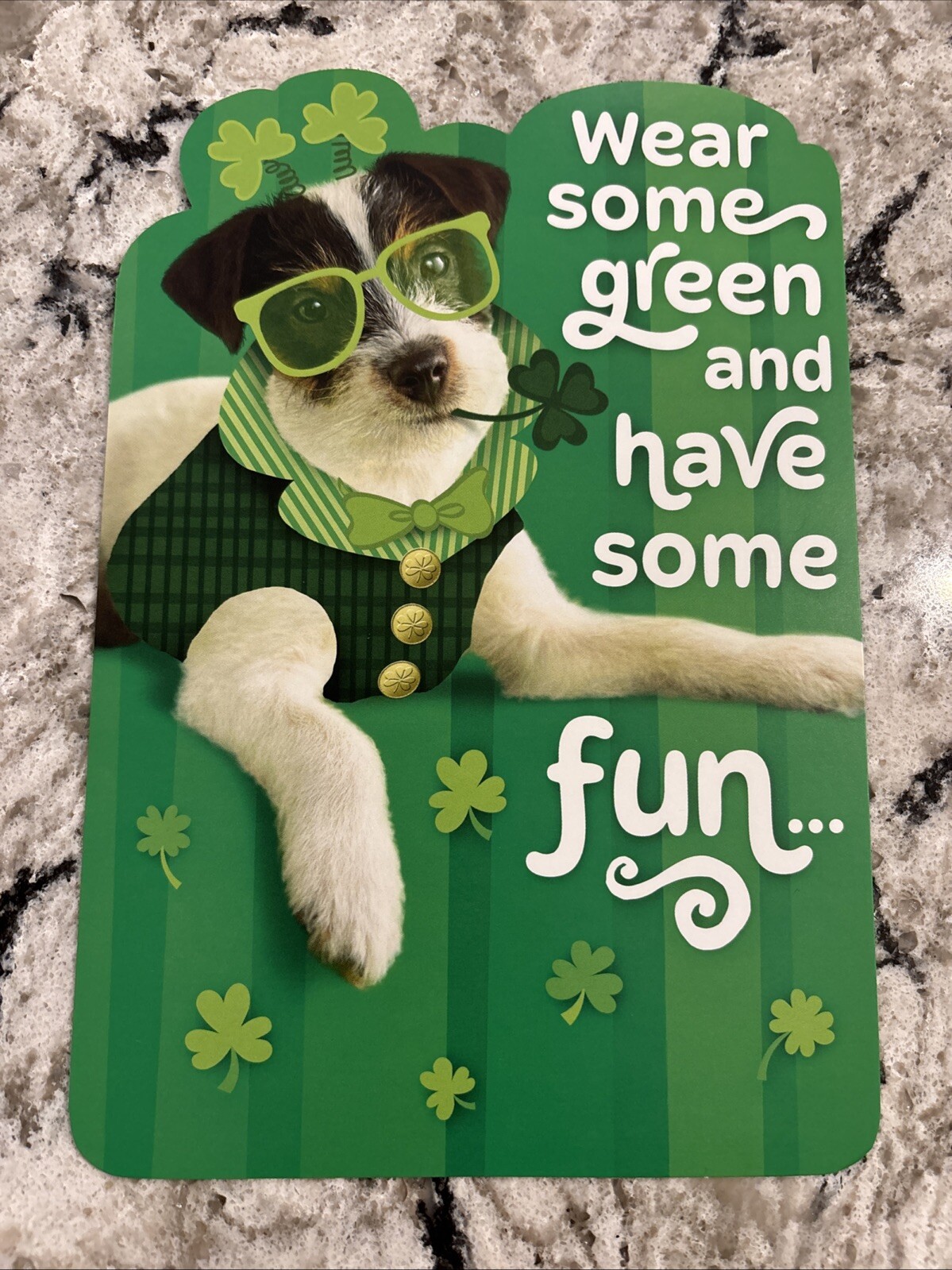 St. Patrick’s Day Funny Dog Green And Have Fun 5.5”x8” Hallmark Greeting Card