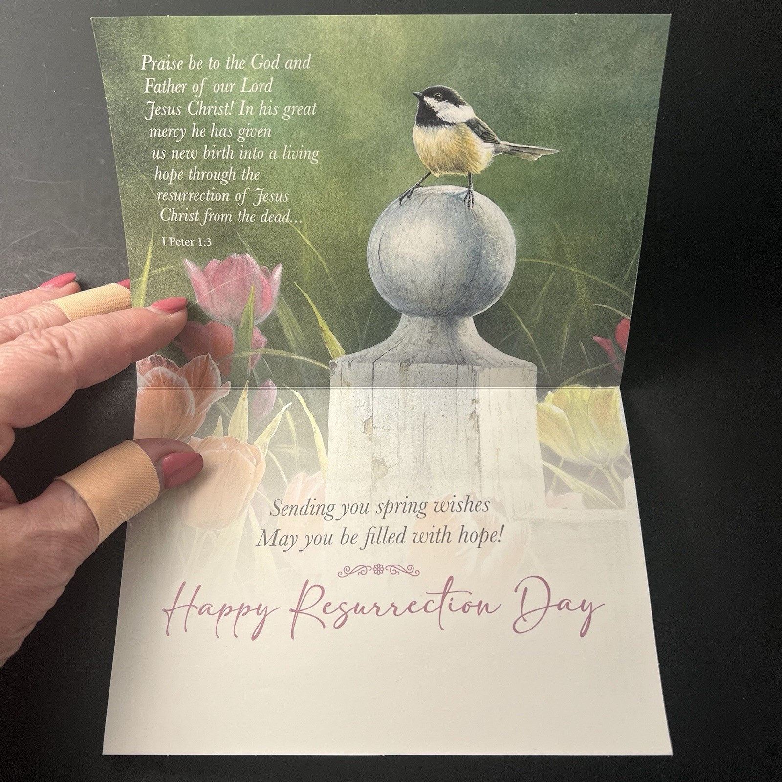 Chickadee EASTER Card Beautiful Full Color Interior! BOOKMARK/Env/Tag/Seal/Stamp