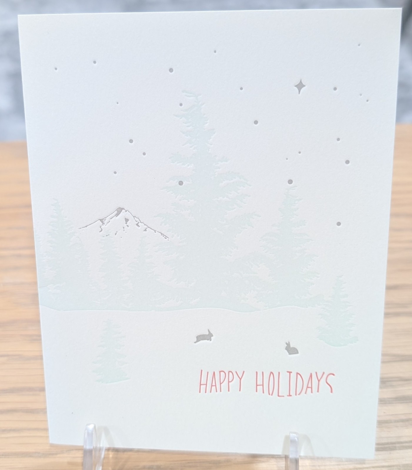 Lark Press Bunnies in the Snow Holiday Card, 4.25 x 5.5, Boxed Set of 6