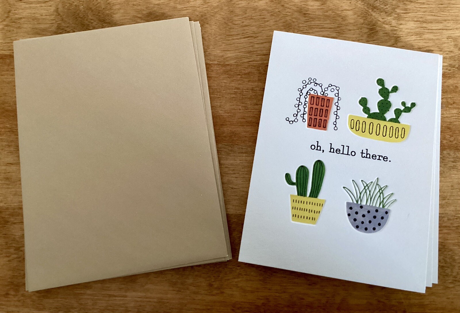 Hallmark Note Card Set, Succulents in Pots, Blank, Partial Set of 11, Embossed