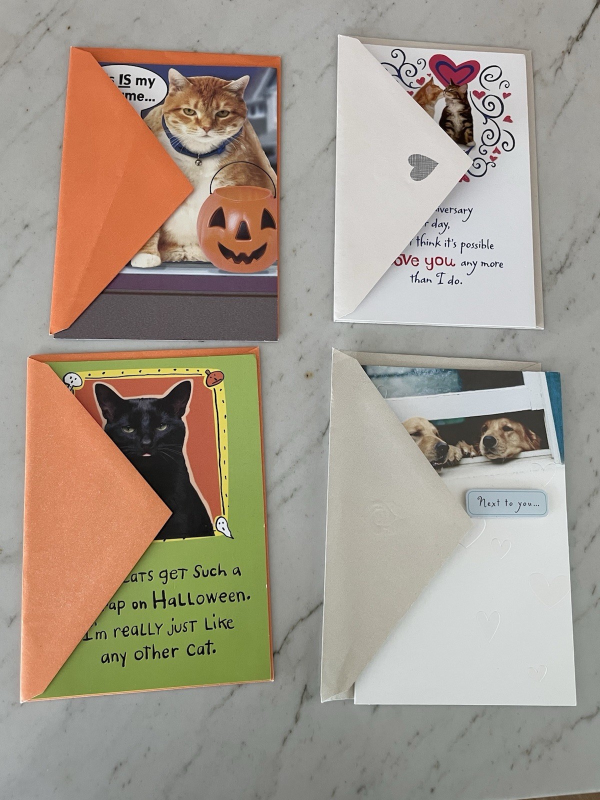 Lot Of Four Greeting Cards And Envelopes: Cats, Dogs, Halloween & Anniversary