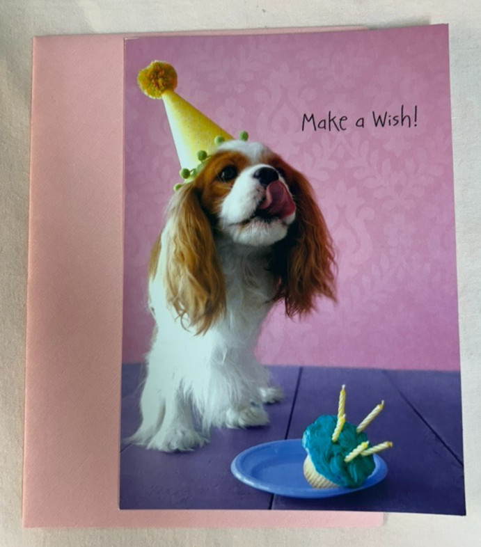 Happy Birthday Greeting Card w/ Envelope
