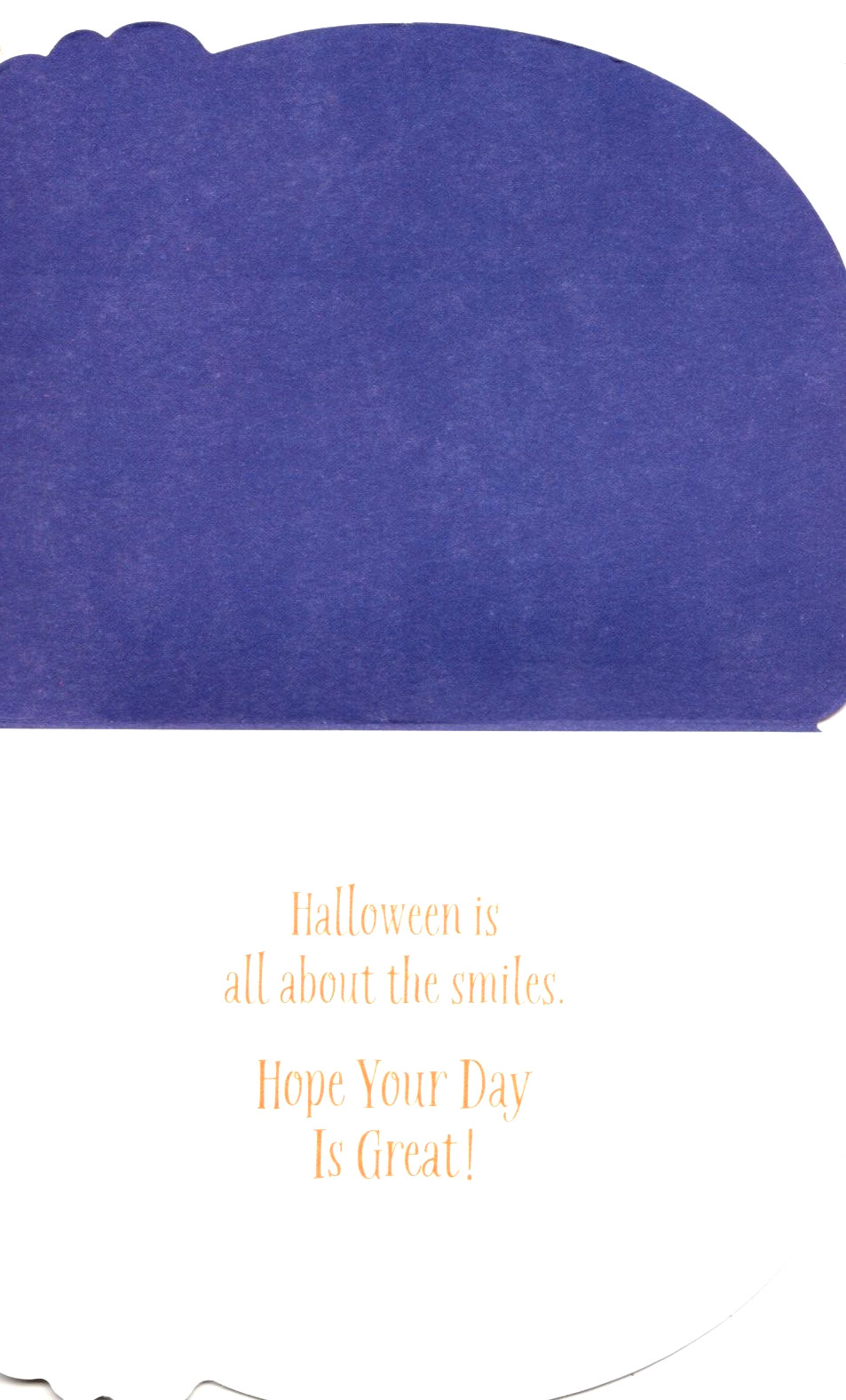 Happy Halloween Pumpkin Black Bat Bats Die Cut Greeting Card – Set of 5