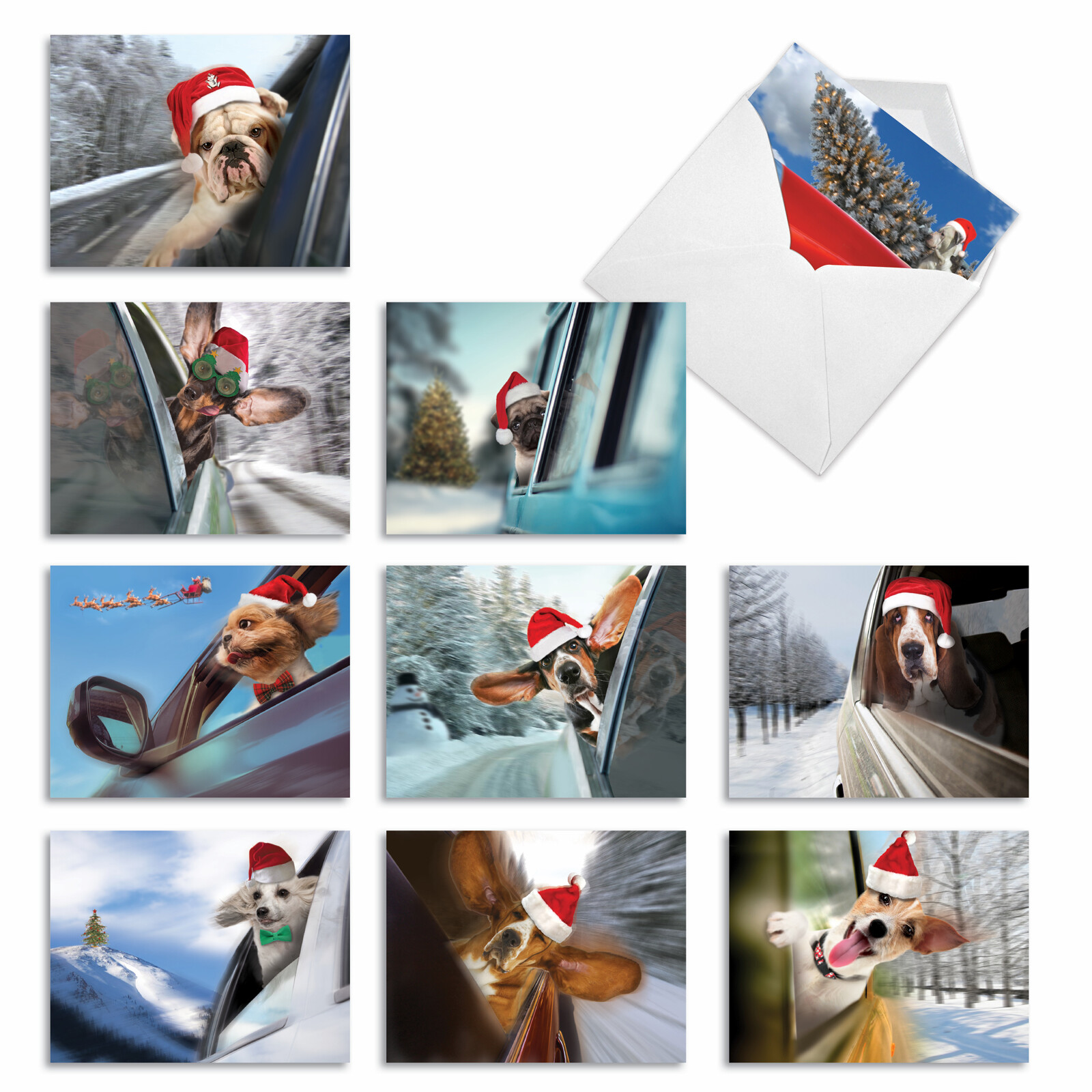 10 Merry Christmas Note Cards – HOLIDAY DOGGIE IN THE WINDOW M6481XSG
