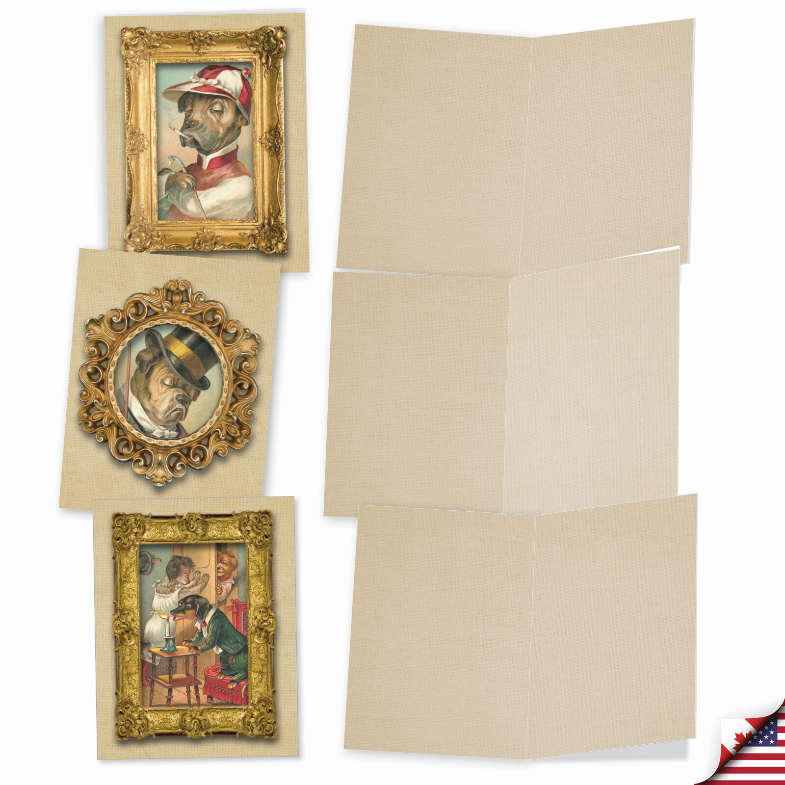10 Assorted All Occasion Blank Note Cards with Envelopes – PUP PORTRAITS M1738BN
