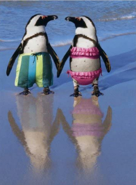 “Perfectly Suited! Happy Anniversary” AVANTI CARD Penguins on Beach