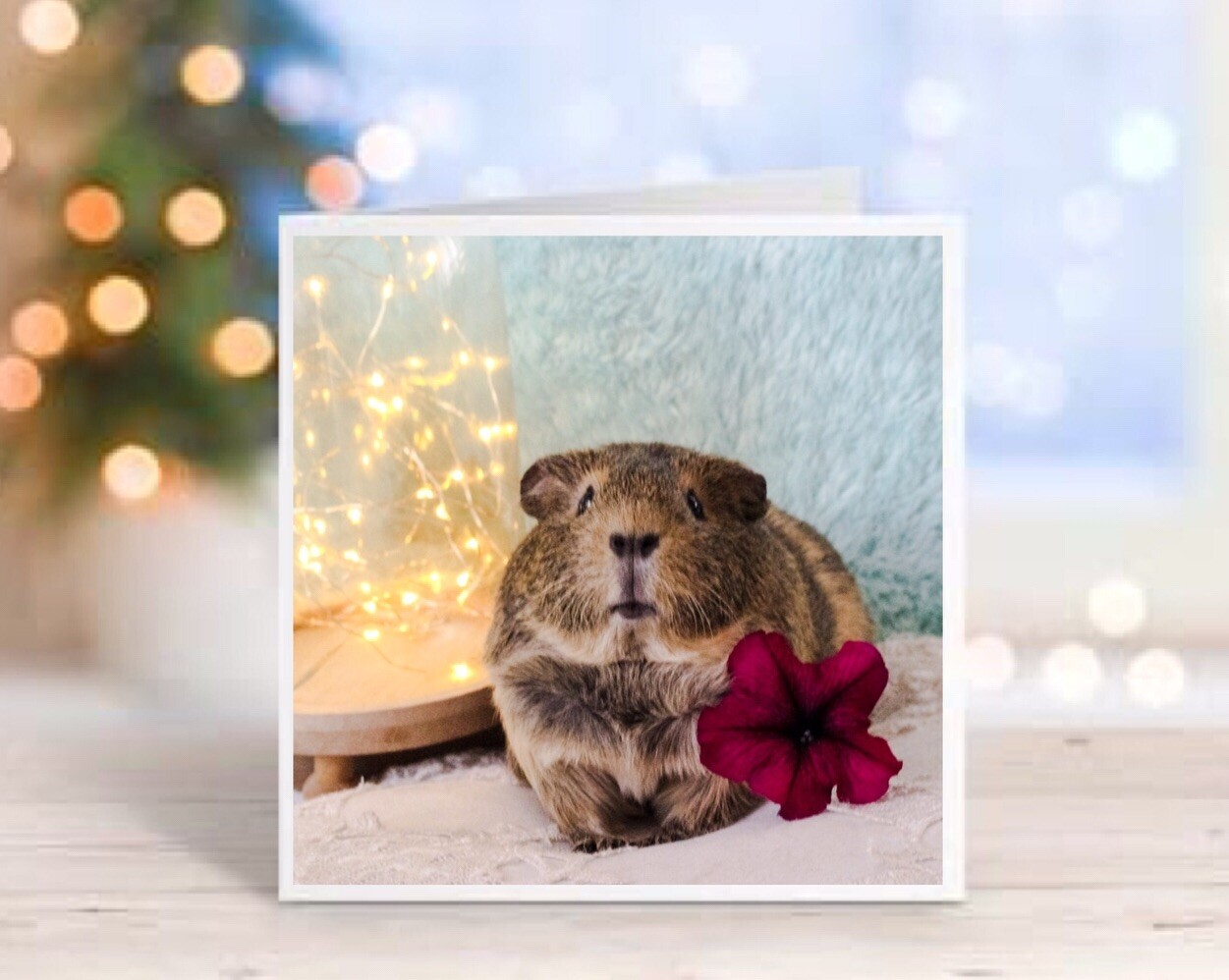 Guinea Pig Greeting Card |Cute Animal Card | Handmade Blank Card |Pet Lover Gift