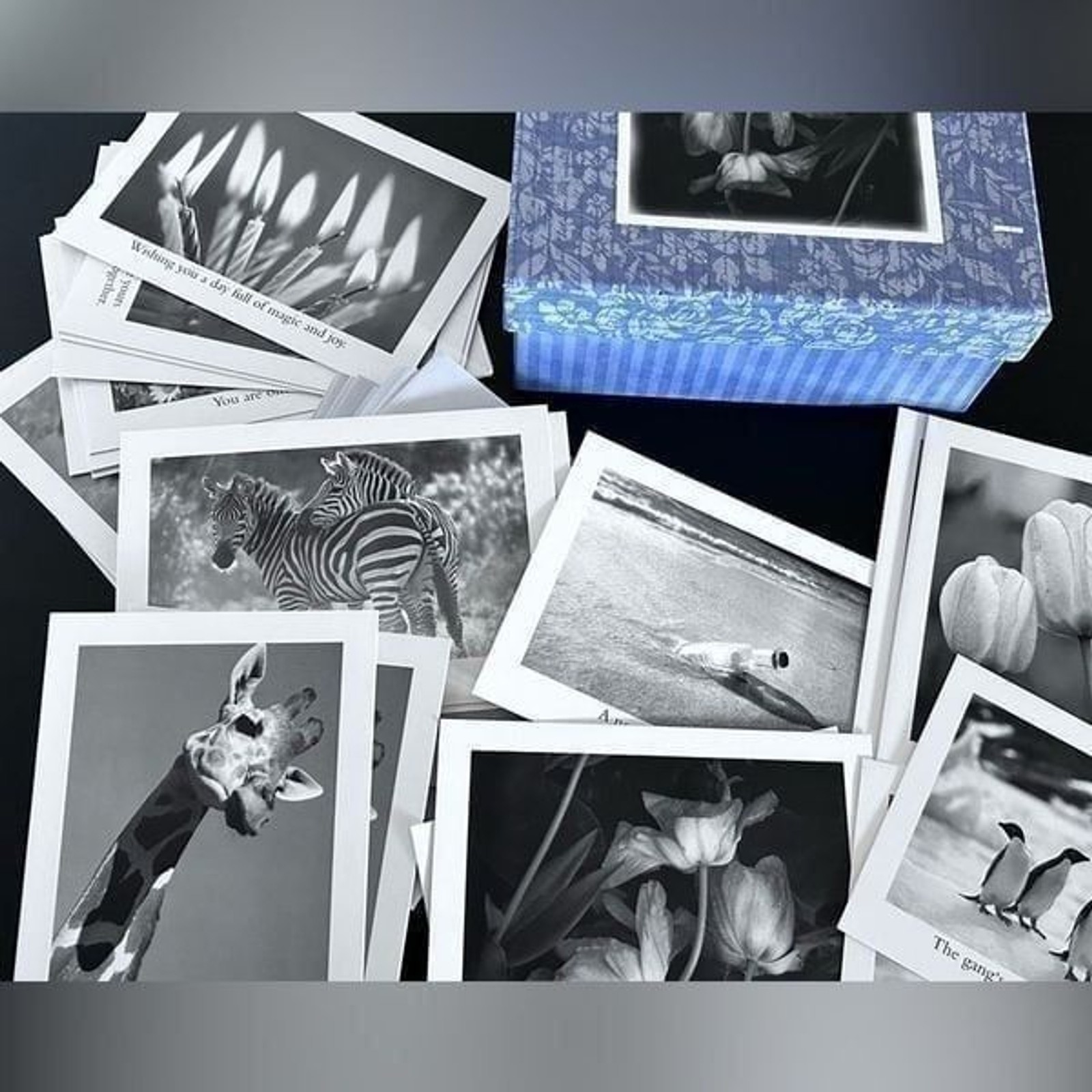 NEW SEASONS Contemporary All Occasion Greeting Cards 5″ x 7″ box with envelopes