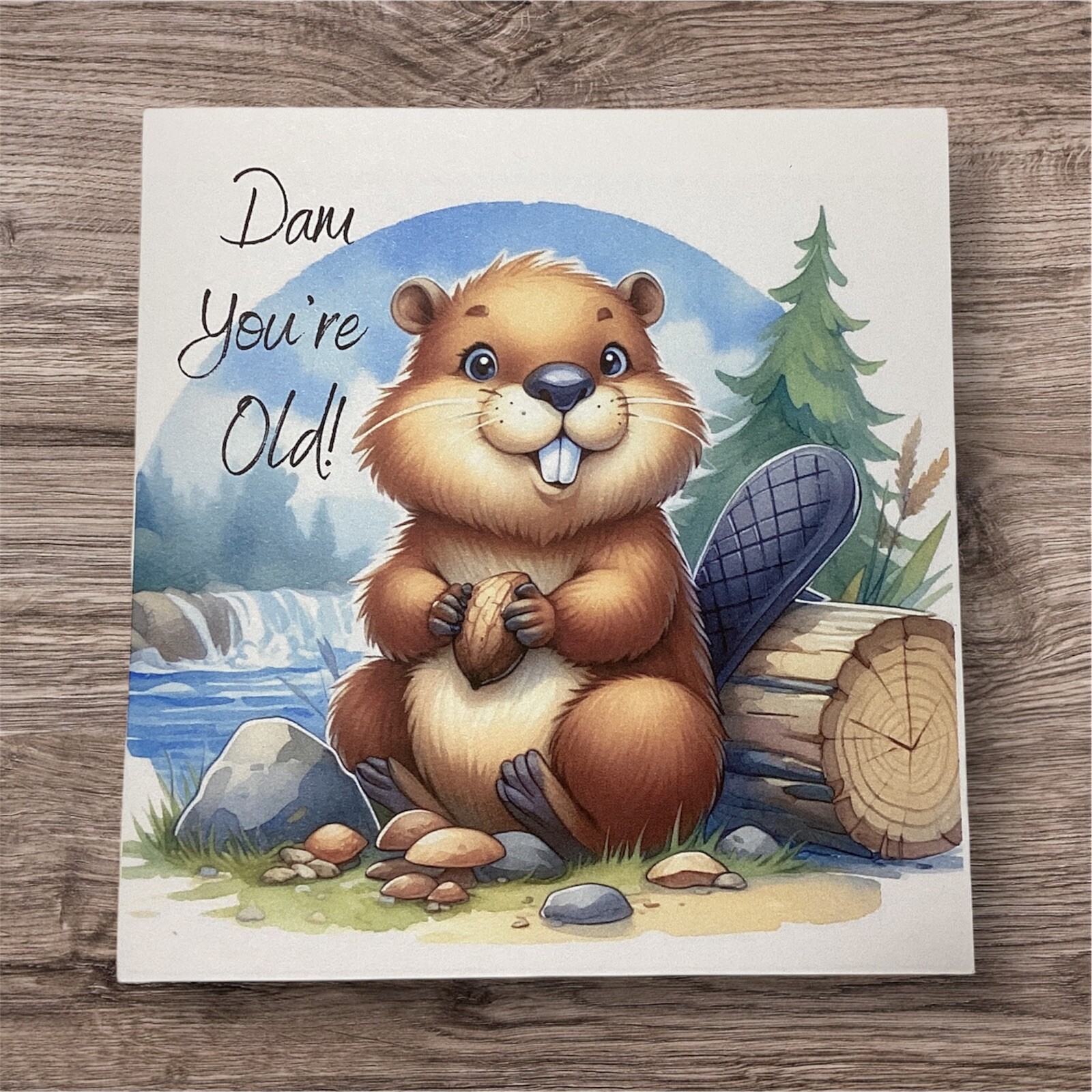 Birthday Card- Dam You’re Old- Her Girl Friend Woman Men Him Funny Over The Hill