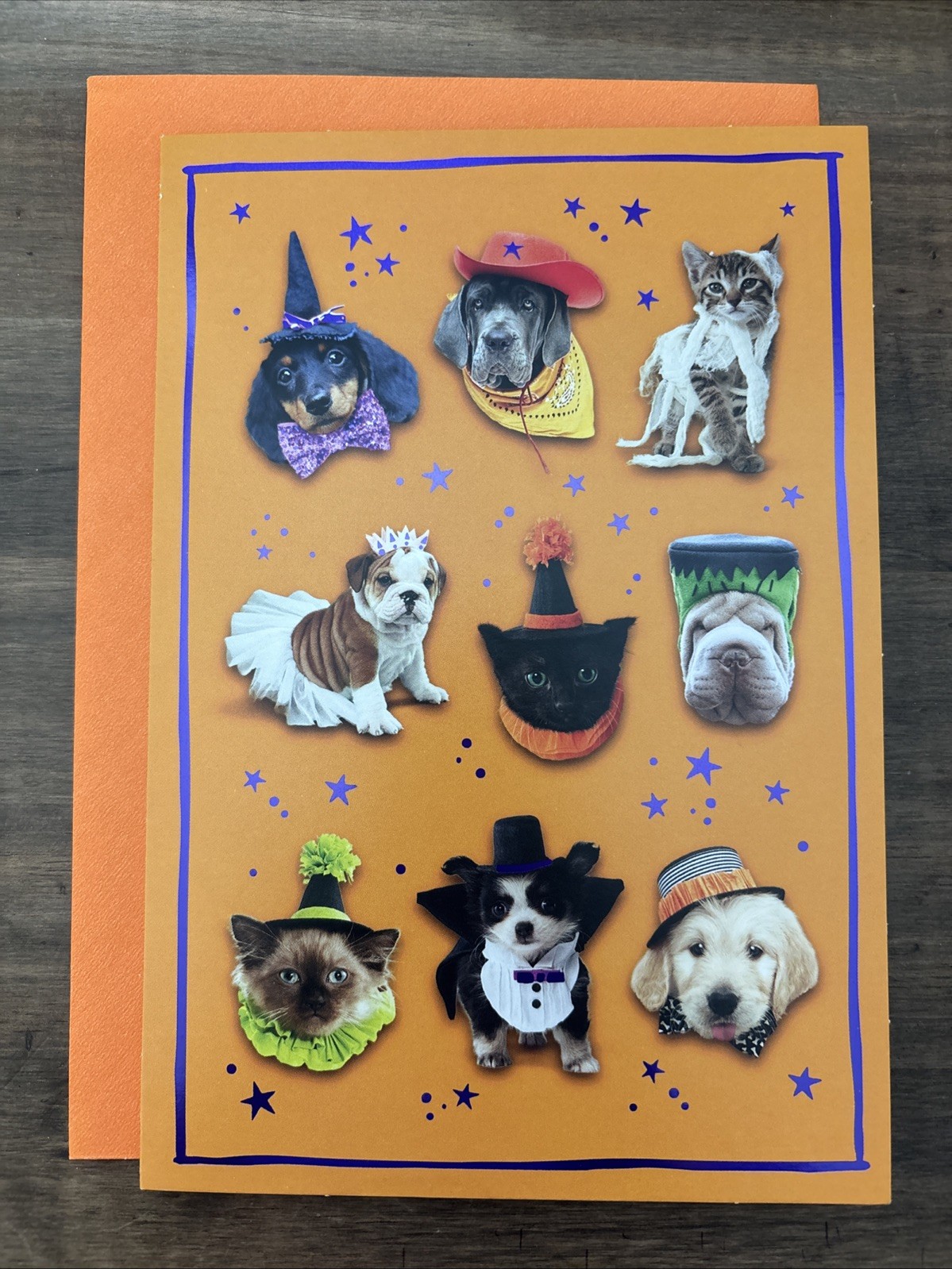 Hallmark Expressions Happy Halloween Greeting Card – Cute Cats & Dogs 🐶