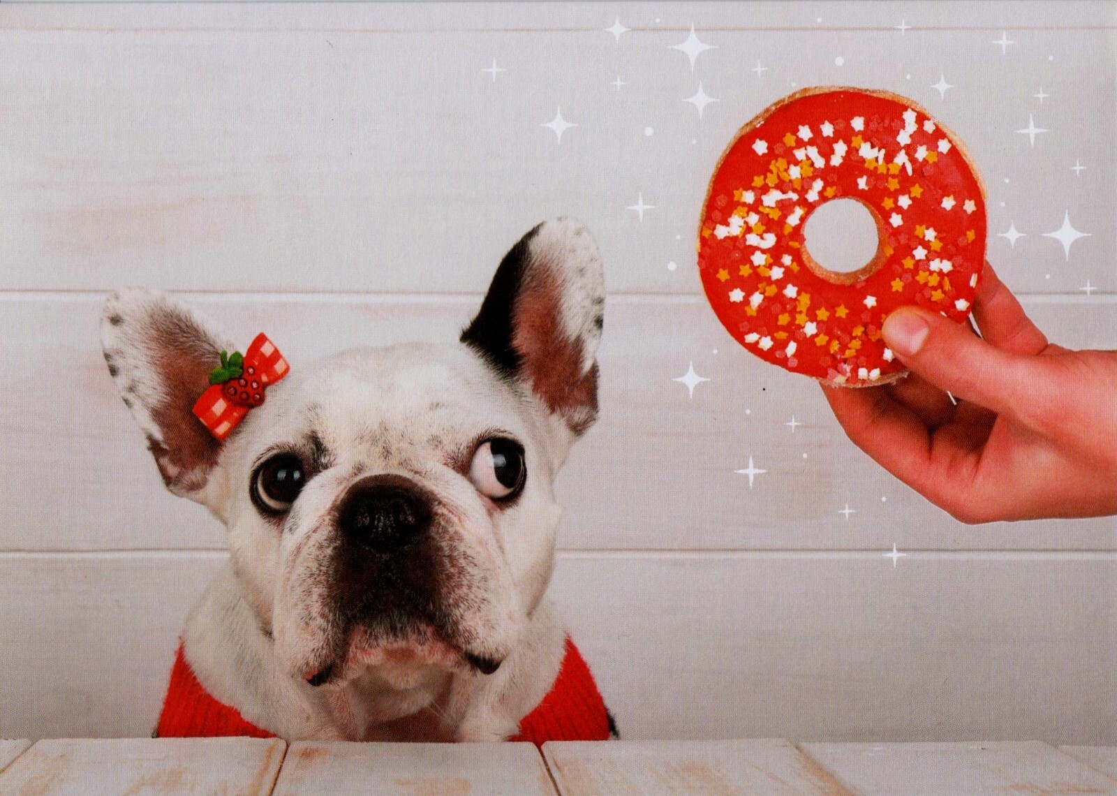 Temptation White Dog With Donut And Red Hair Barrett Blank Note Greeting Card