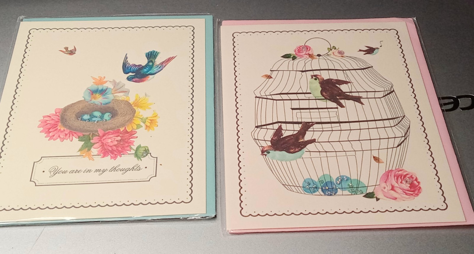 2 Unique Spring Bird Cage Greeting Cards Limited Hand Painted Driscoll Designs