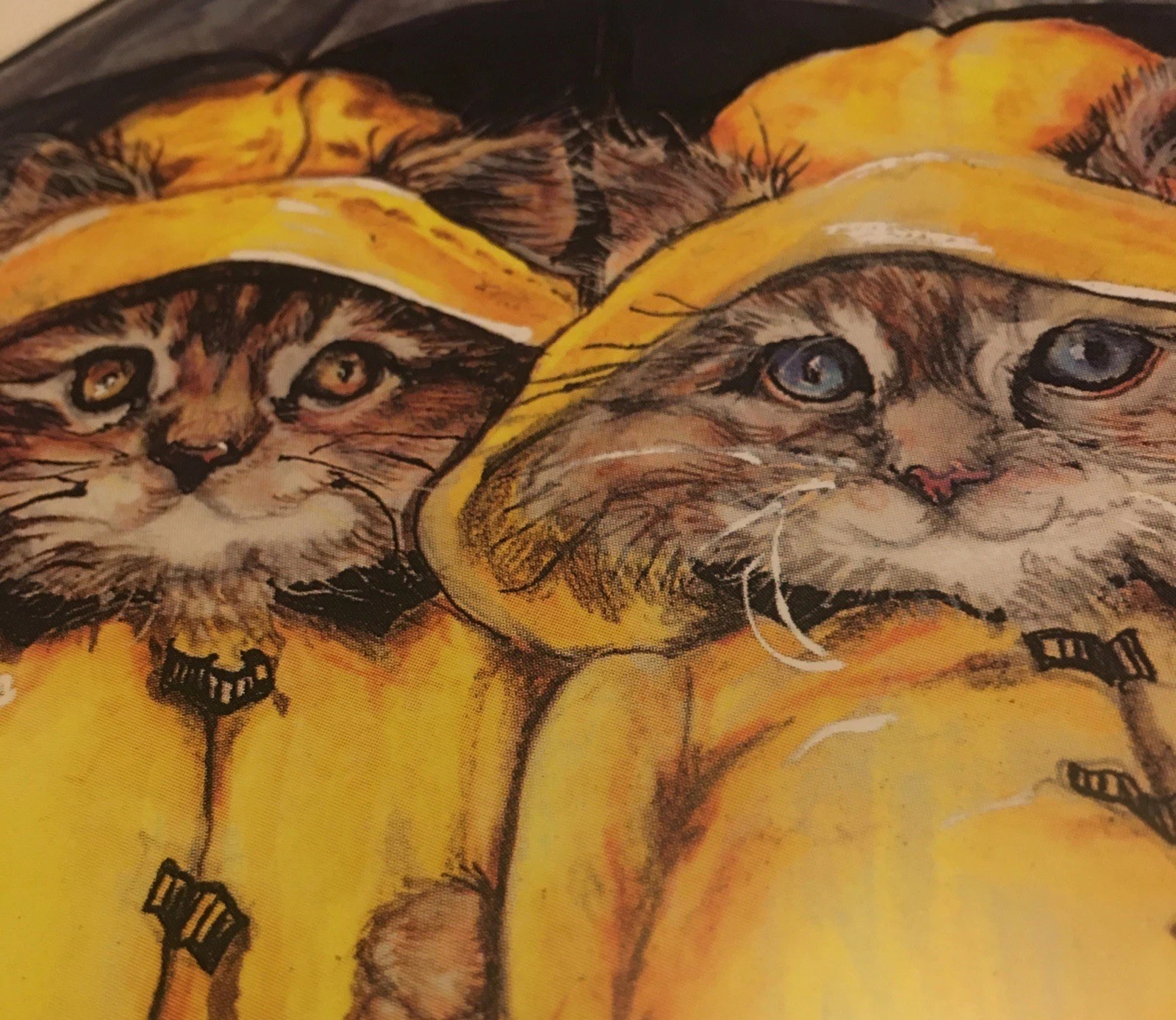 Cat Greeting Card 12 Pack Set Kittens Under Umbrella 5×7” FurEver Friends No Box