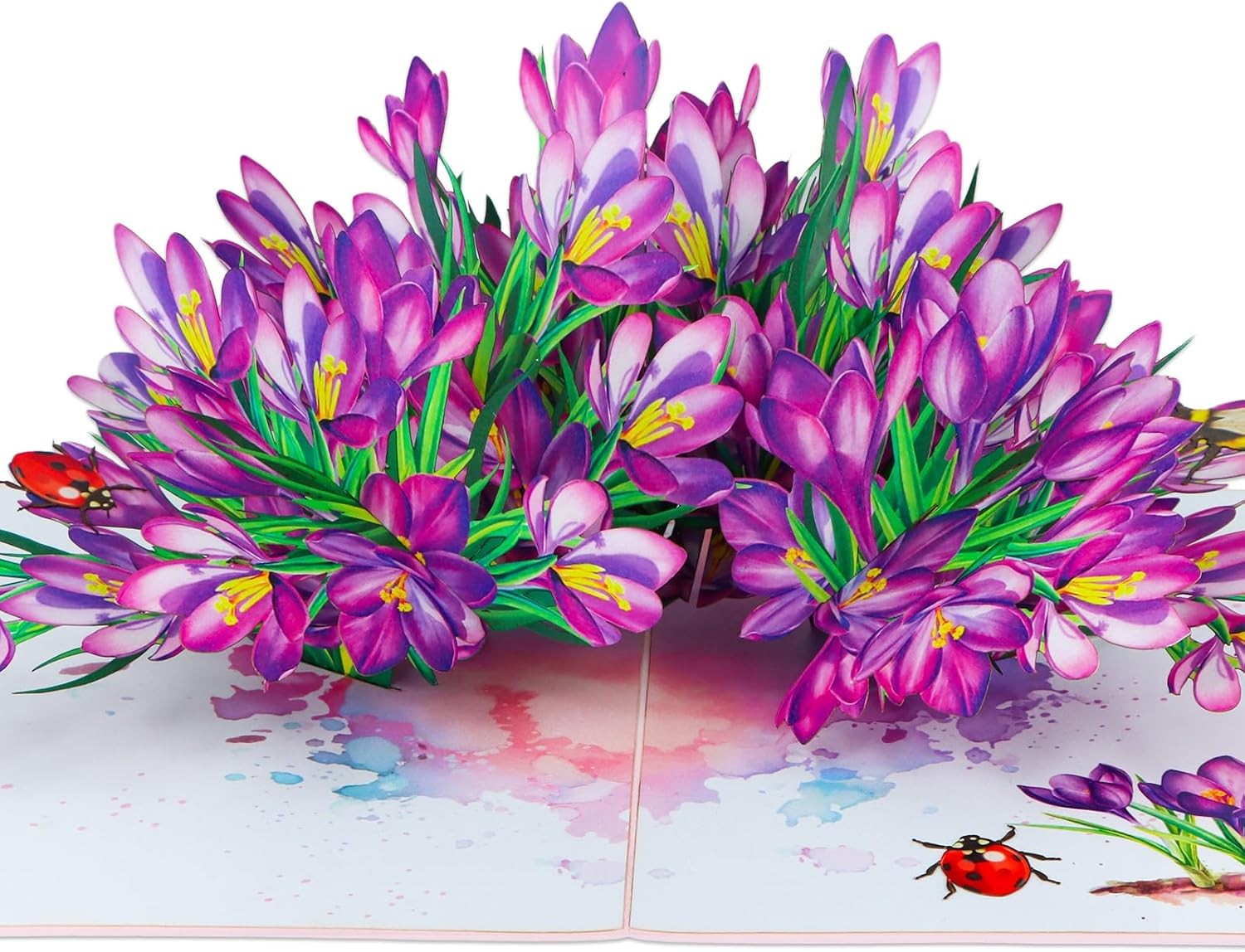D4DREAM Pop Up Birthday Card – 3D Cymbidium Orchid Greeting Card for Mom Wife Gr