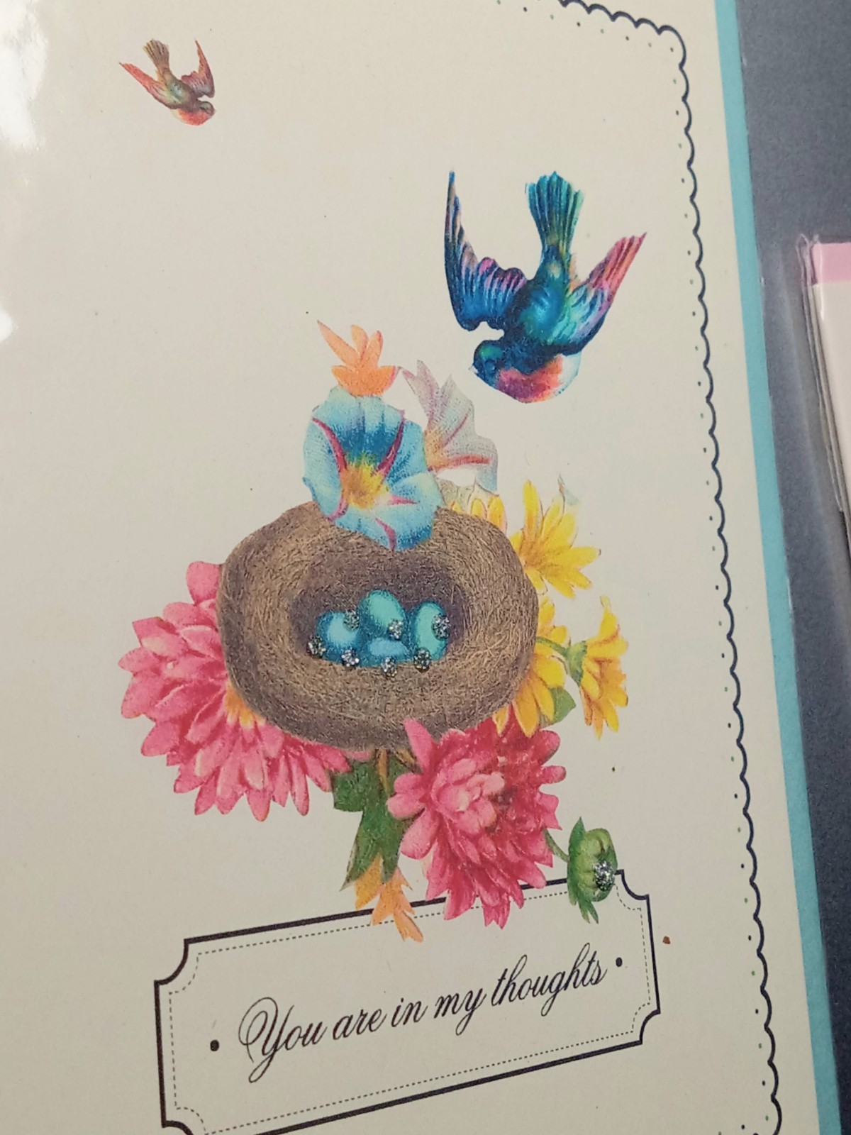 2 Unique Spring Bird Cage Greeting Cards Limited Hand Painted Driscoll Designs