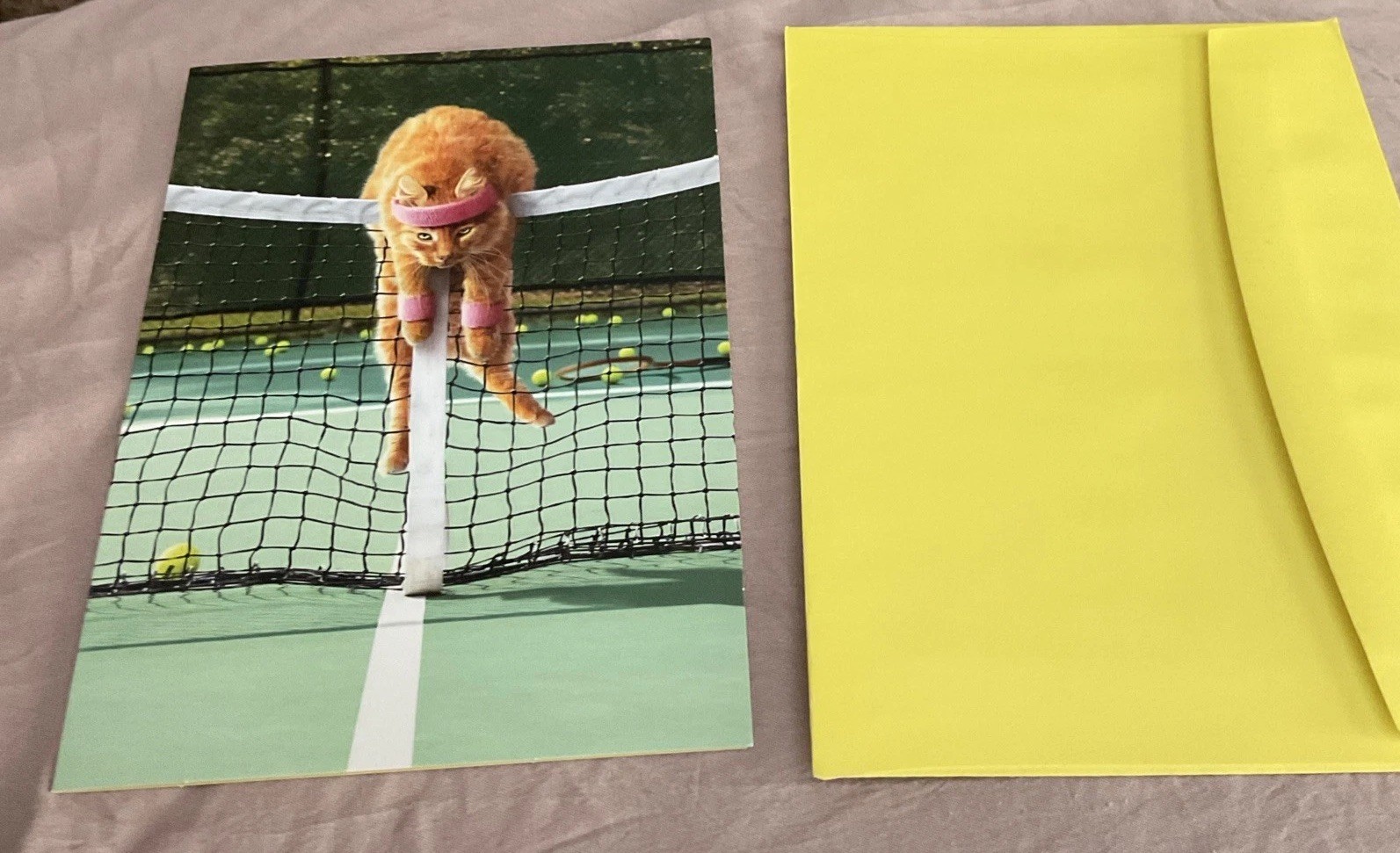 Avanti Press Humorous Cat Hanging Over Tennis Net “FRUSTRATION” Card W Envelope